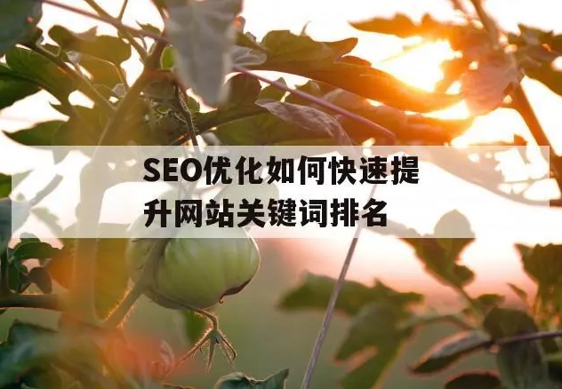 關(guān)鍵詞快速排名優(yōu)化10個方法技巧